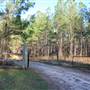 Wappaoolah Plantation - Mepkin Tract