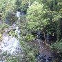 Twin Falls (aka Reedy Cove Falls)