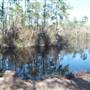 Pumphouse Landing Rd