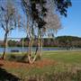 James Island County Park - February Looks