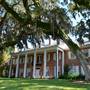 Hobcaw Barony