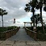 Myrtle Beach