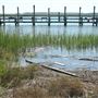 Bowens Island