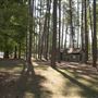 Chester State Park