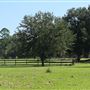 The Blessing Plantation -- Pastures & Fences (September 2018)