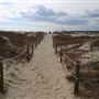 Camp St. Christopher - Deserted Beach - January 2019