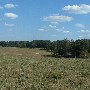 Darby Farms - Pastures