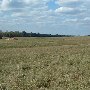 Darby Farms - Pastures
