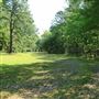 Hyde Park Plantation - Distant Shots