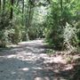 Laurel Hill County Park