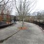 Glencairn Gardens