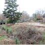 Glencairn Gardens