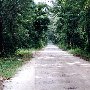 Blackground Rd.