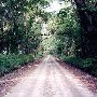 Edisto Beach State Park - Roads