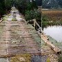 Old Post Rd. Bridge (Wooden Bridge)