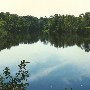 Munnerlyn's Pond