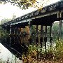 Black Mingo Creek