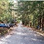 Laurel Valley Road