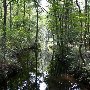 Walterboro Wildlife Sanctuary