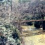 Partial Old Bridge