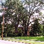 W. Main St. House