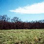Faulkner Property