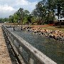 Lake Murray - Dominion Energy Public Park Site #1