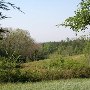 Worth Mountain
