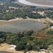 Dempsey Tomato Farm