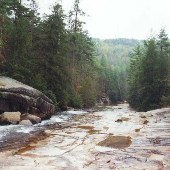 Twin Falls (aka Reedy Cove Falls)