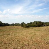 Mathews Barn #2