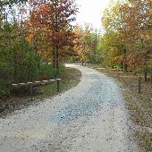 Harbison State Forest