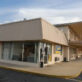 Palmetto Inn