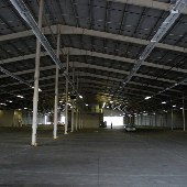 Farmer's Market - Shed 14