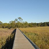 Hunting Island State Park - Marsh Walk