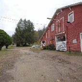 Dogwood Terrace Stables