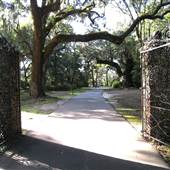 Charles Towne Landing - Gazebo & Wedding Area