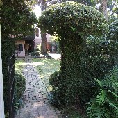 Gardens of Charleston - Battery Carriage House Inn - November 2010