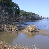 Lake Watertree - State Park Recreation Area
