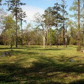 Chester Park