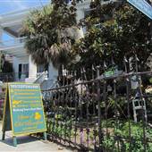 Green Fish Gallery