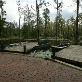 Cypress Gardens...Isle of Fairies