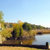Caw Caw Interpretive Center - Marsh area