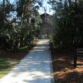 Magnolia Plantation & Gardens - Conservatory (MAY & FEBRUARY 2012)