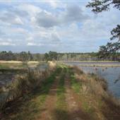 Nemours Wildlife Foundation - Rice Field 1