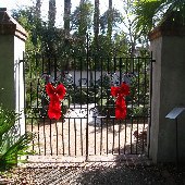 Gardens of Charleston - Philip Simons Garden