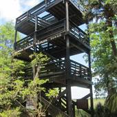 Magnolia Plantation & Gardens MAY - Wildlife Tower