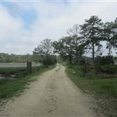 Nemours Wildlife Foundation - Rice Fields, Dike, & Dock