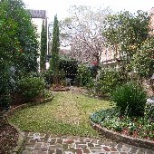 Gardens of Charleston - Coleman Fine Arts Building