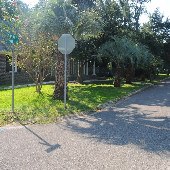 Shady Lane
